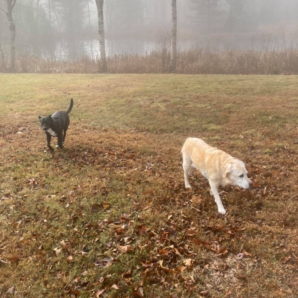 Meet your Posher, John